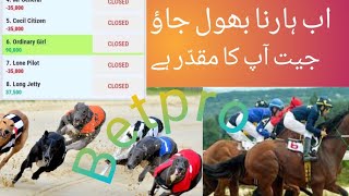 Betpro tips and tricks  Betpro tips  betpro winning tips  betpro horse racing tips [upl. by Herzig]