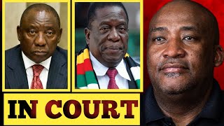 McKenzie gets Incriminated by Zimbabweans for Inciting Hate Speech amp X£N0PH0BC V0L£NC£ on Zimbabwe [upl. by Toolis]