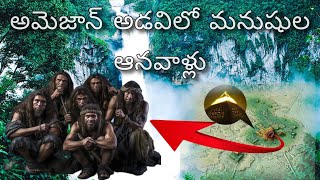 Amazon అడవిలో 3000 సంత్సరకాలంగా దాగి ఉన్న మహా నగరం  3000 Years old city prints in Amazon forest [upl. by Anual]