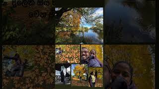 පත්තර බෙදලා එන ගමන්🙃 autumn photoshoot örebro sweden [upl. by Reitrac]