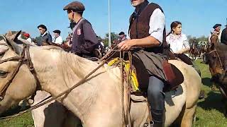 Cabalgando a quotLa Fiesta del Talar  2024quot desde la rotonda de Madariaga [upl. by Gardy54]