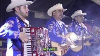 Los Canelos De Durango  El Sabio Salomón 2016  EN VIVO [upl. by Wehrle]