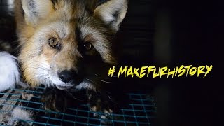 Exposing the Fur Industry [upl. by Baal]