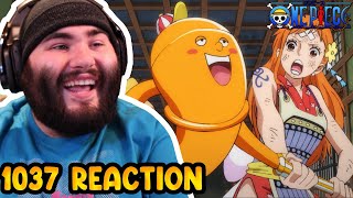 Hes Back One Piece Episode 1037 Reaction [upl. by Amling]