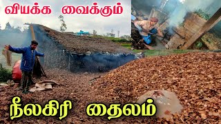 தைலம் காட்டிற்கு நடுவே  Making of nilgiri Eucalyptus oil in Tamil  Edison vlogs [upl. by Eyr623]