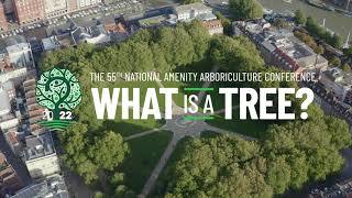 What is a tree The UKs biggest arboriculture conference September 2022 [upl. by Selie469]