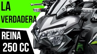 KAWASAKI Z250 2021  La más potente y veloz en el segmento 250cc  Brutal PRECIO 💲😱💲 [upl. by Atiekahs484]