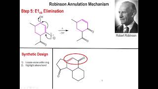 Lec8  The Michael Addition and the Robinson Annulation [upl. by Gabbert521]