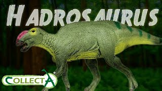 2023 Collecta Hadrosaurus Review [upl. by Anallij45]