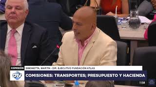 Por qué PRIVATIZAR AEROLINEAS Argentinas Martín Simonetta en Cámara de Diputados [upl. by Yanrahc]