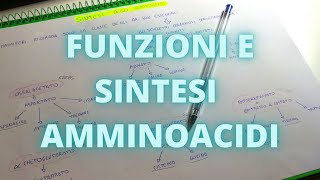 Sintesi e funzioni Amminoacidi [upl. by Fay]