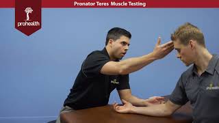 Pronator Teres Muscle Test Palp Dr Vizniak Muscle Manual [upl. by Ellezig501]