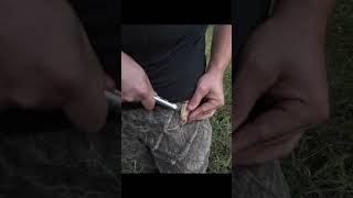 How to make a stone flake… foraging primitive harvesting [upl. by Reinaldos]