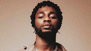 Burna boy x omah lay x Rexxie Type Beat 2024 quotbeybzquot [upl. by Pogah500]