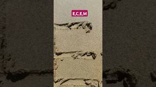 ECEM [upl. by Airb]