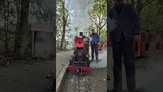 Remembrance Sunday honoured at Eastleigh Lakeside Railway railway [upl. by Gearhart]