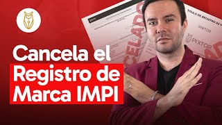 ¿Cómo cancelar un registro de marca IMPI ❌  Pixtor [upl. by Ledniahs]