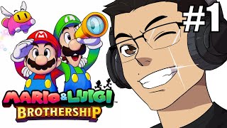 Mario amp Luigi Brothership PART 1 [upl. by Enyrhtac]