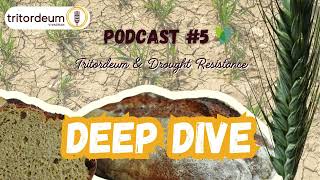 DEEP DIVE Podcast 5 Tritordeum amp Drought Resistance [upl. by Petra]