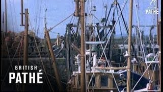 Scottish Fishing Boats 1971 [upl. by Nylqcaj]