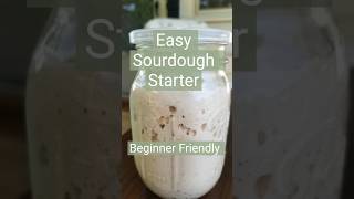 Easy Sourdough Starter Recipe for Beginners [upl. by Nevanod]