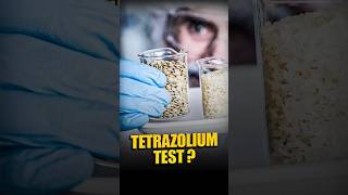 Tetrazolium Test [upl. by Ramah]