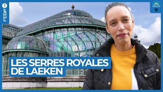 Les serres royales de Laeken  Les Ambassadeurs [upl. by Pauiie]