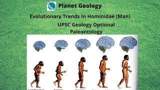 Paleontology Evolutionary trends in Hominidae ManPart 1 [upl. by Nnylatsyrk]