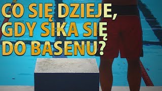 Co się dzieje gdy sika się do basenu [upl. by Aivyls]