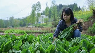 【二米炊煙】“回鍋肉”這一定我記憶中最好吃的做法，肥而不膩，入口濃香 [upl. by Wilton957]