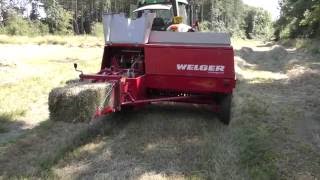 First time out with Welger AP630 baler [upl. by Arst71]