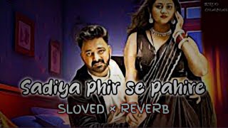 Sariya phir se pahine  sloved amp reverb song  bhojpuri song megamashup pawansingh amp biroo chauhan [upl. by Akehs507]