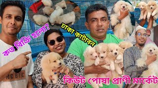 Katabon Animal market in Bangladesh  German shepherd dog price  Lhasa Abso Dog price  Spitz puppy [upl. by Hsivat]