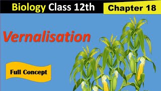 Vernalisation in plants  Fsc 2nd year biology  Kins academy [upl. by Arehsat192]