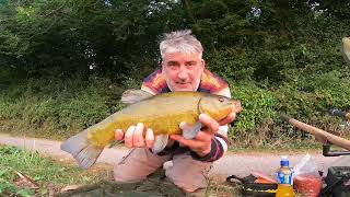 Tench fishing on the Tiverton canal [upl. by Sirehc]