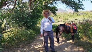 Que Hermosa experiencia salir en mi Caballo quotCambujoquot mire este vídeo [upl. by Nyrak]