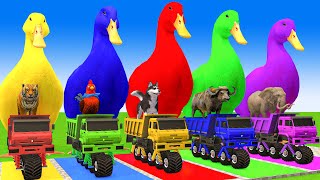 5 Giant Duck CartoonCowElephantGiraffeTigerLion Paint Wild Animals Crossing Fountain Animation [upl. by Nolad]