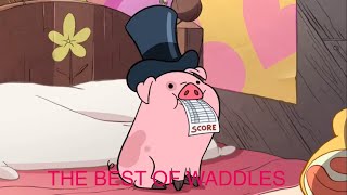 the best of waddles  gravity falls season 1 [upl. by Rap548]