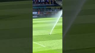 Pissin doon at tannadice park park today 🤣 [upl. by Annawik]