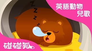 Hibernation Song  英語動物兒歌  碰碰狐！兒童兒歌 [upl. by Braca206]