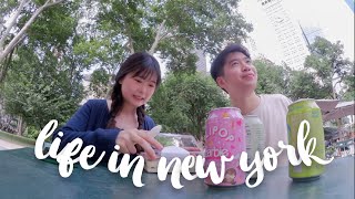 vlog  realistic summer days in new york madison square park amp eataly renew drivers license [upl. by Luba]