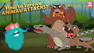 How to Survive Animal Attacks  Bear Dog Shark Komodo Dragon amp Giant Squid  The Dr Binocs Show [upl. by Emya]