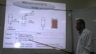 Nitroprussides test Part 1 Identification of Amino Acids Cysteine or Cystine [upl. by Ayrolg148]