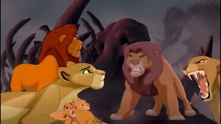 The Lion Queen Part 2•Where is Nala [upl. by Rimaj927]