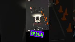 Tesla catch the ghost 👻 tesla horror ghost [upl. by Krantz]