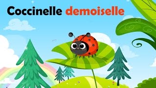 Coccinelle demoiselle bête à bon dieu  Comptine à gestes pour enfants et bébés avec les paroles [upl. by Cissy442]