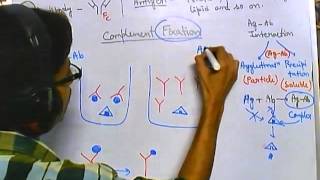 Complement fixation test [upl. by Radford]