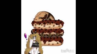 Gaboon Viper Snake Doughnut [upl. by Norrab475]