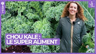 Chou kale  le super aliment au potager facile à cultiver  Jardins et Loisirs [upl. by Ecirtnahc265]