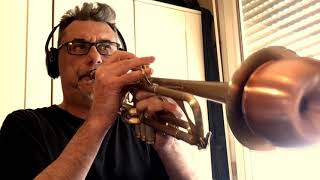 BLIND TEST TRUMPET MUTES instructional video [upl. by Nnorahs227]